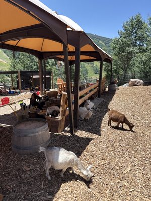 Vail Stables by null