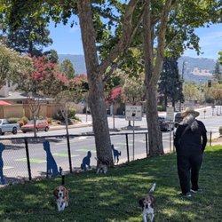 Dougherty Hills Dog Park