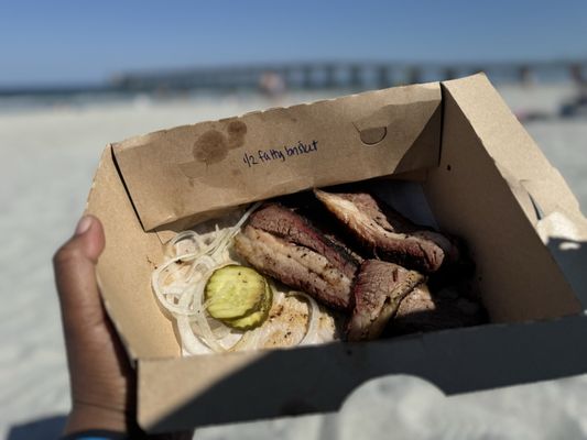 The Bearded Pig by null