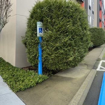 Silver Cloud Hotel Seattle - University District - Pano view of ample parking on both sides of the building - Hotels Near Me - Seattle, Washington Silver Cloud Hotel Seattle - University District - Pano view of ample parking on both sides of the building - Hotels Near Me - Seattle, Washington