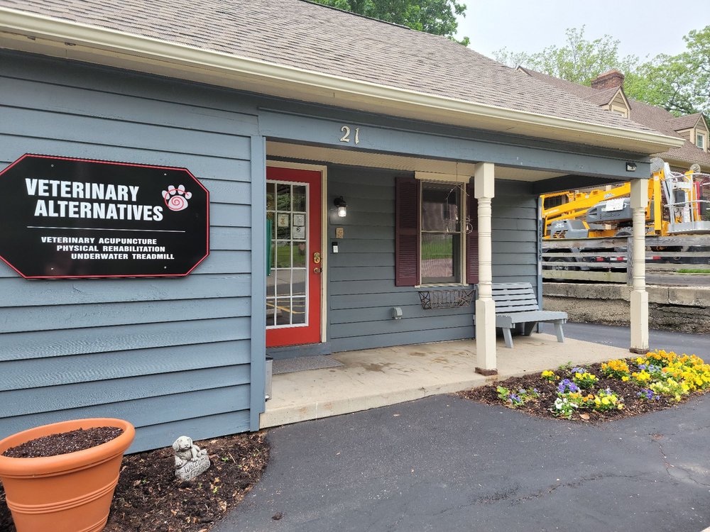 VETERINARY ALTERNATIVES 16 Photos 21 E Ridgeway Dr, Dayton, OH Yelp