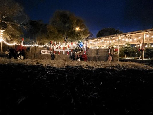 Hobe Sound Farmers Market by null