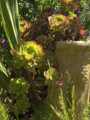 Old Monterey Inn by null