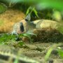 Photo of The Fish Tank