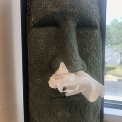 ENT Now - Tissue holder. LOL!