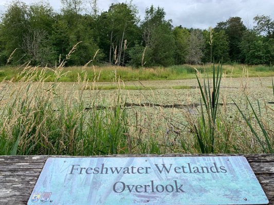 Billy Frank Jr. Nisqually National Wildlife Refuge by null
