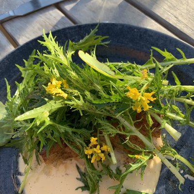 Rabarbergården by null