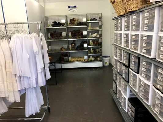 Botanica Nena - Miami's Top Santeria & Occult Shop by null