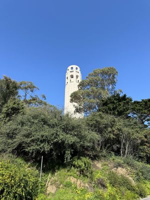 Filbert Steps by null