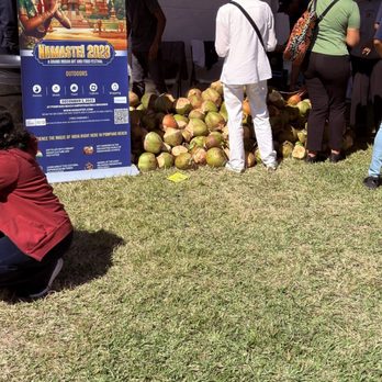 Namaste - Coconut stand - Festivals Near Me - Pompano Beach, Florida
