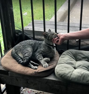 The Oxbow Tavern by null