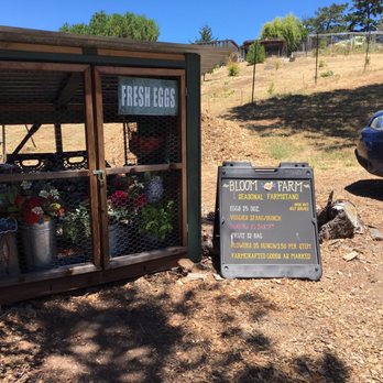 Fly Girl Farm - a chicken coop and a sign - Grocery Near Me - Pescadero, California Fly Girl Farm - a chicken coop and a sign - Grocery Near Me - Pescadero, California