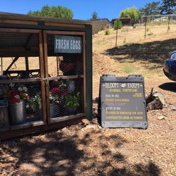 Fly Girl Farm