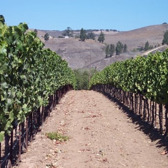 Sanford Winery - Wineries Near Me - Lompoc, California Sanford Winery - Wineries Near Me - Lompoc, California