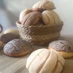 Conchas De La Abuela