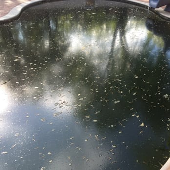 Pool Sharks - "Open" - Pool Cleaners Near Me - Edmond, Oklahoma