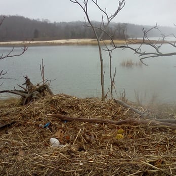 West Neck Beach - Beaches Near Me
