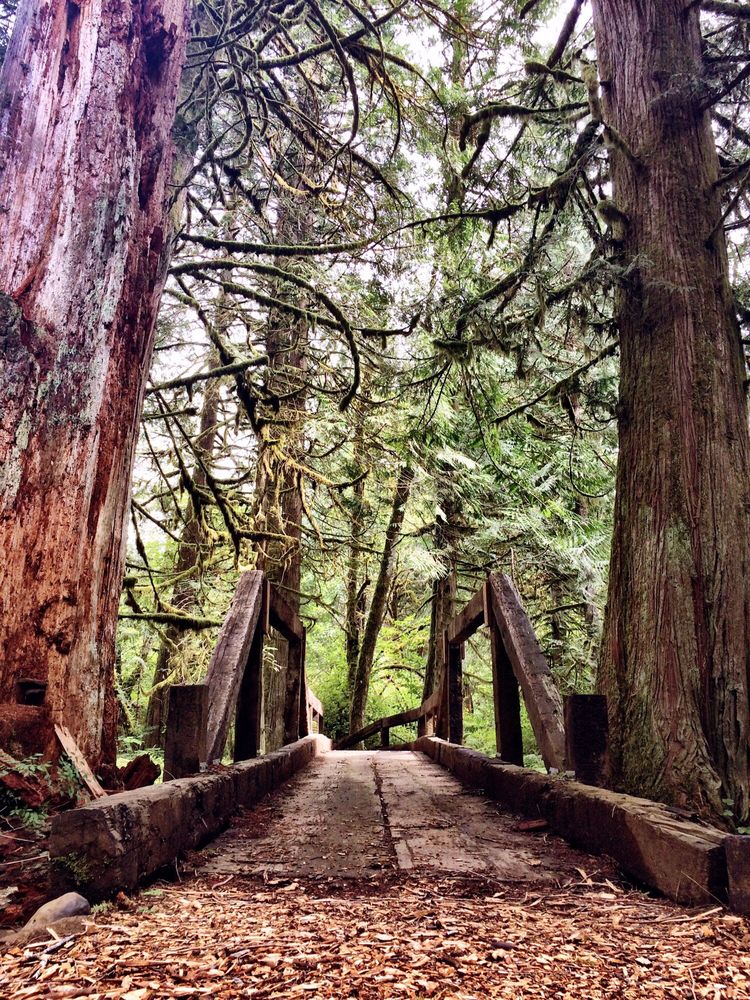 ALDERBROOK PARK 54 Photos & 52 Reviews 24414 NE Westerholm Rd