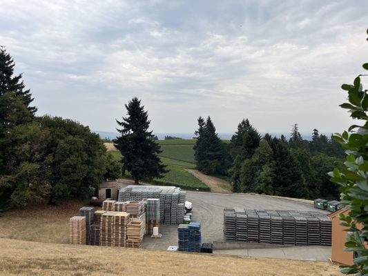 Domaine Drouhin Oregon by null