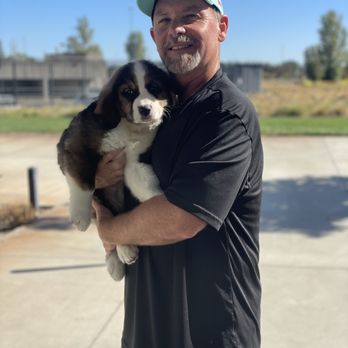 K9 Legacy - Puppy Transport - Pet Training Near Me - Santa Clarita, California K9 Legacy - Puppy Transport - Pet Training Near Me - Santa Clarita, California