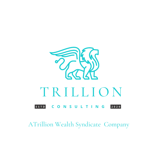 The Trillion Wealth Syndicate - property tax consultant in Indianapolis, IN