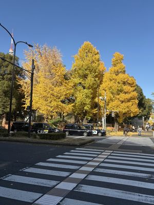 Zojo-ji Temple by null