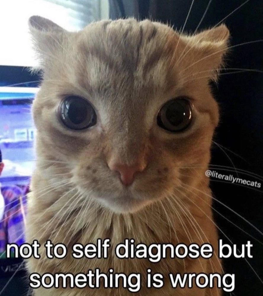 CAPSTONE FAMILY MEDICINE Updated September 2024 4361 Boniface Pkwy