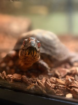 Science Museum of Virginia by null