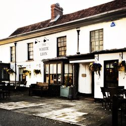 The White Lion