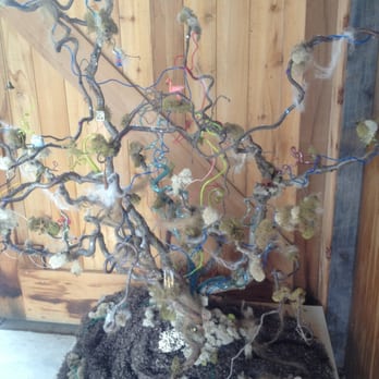 Florence Griswold Museum - Fairy Tree - Landmarks & Historical Buildings Near Me - Old Lyme, Connecticut Florence Griswold Museum - Fairy Tree - Landmarks & Historical Buildings Near Me - Old Lyme, Connecticut