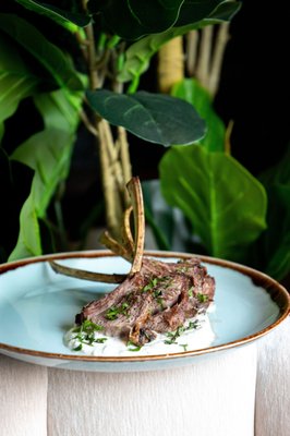 Symposia Detroit by null Symposia Detroit by null