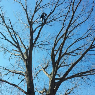 FARMERS FEED & SEED - Updated January 2025 - 11 Photos & 16 Reviews