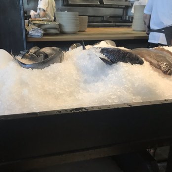 Scales - Seafood Near Me - Portland, Maine Scales - Seafood Near Me - Portland, Maine
