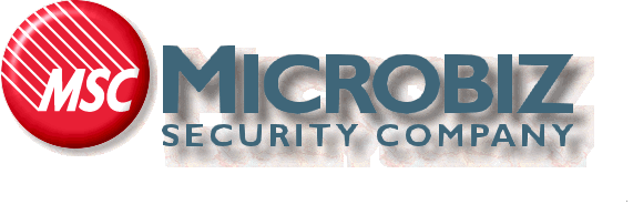 Microbiz Security Company by null