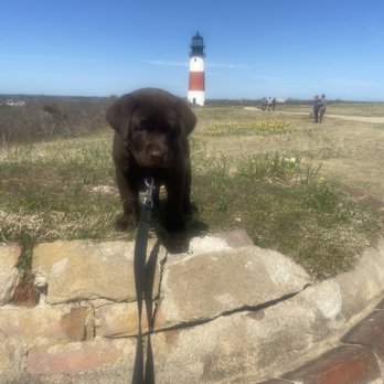 Sankaty Lighthouse - Sankaty light Brody on Old location - Landmarks & Historical Buildings Near Me
