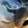 Frank Dry Cleaners