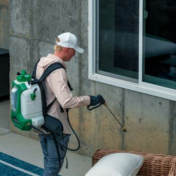 BRD Pest Solutions - Pest Control Near Me - Jarrell, Texas BRD Pest Solutions - Pest Control Near Me - Jarrell, Texas