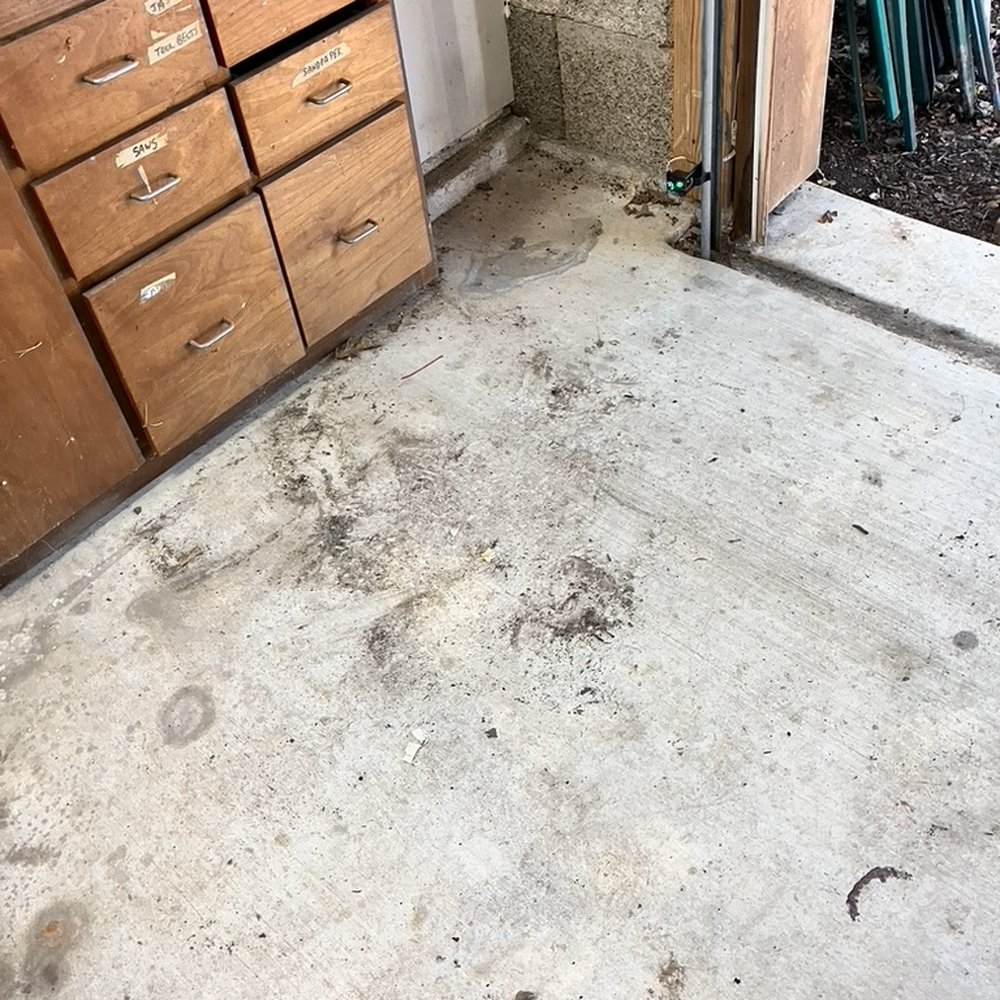 Maids 2 Match - Should have been mopped. - Home Cleaning Near Me - Dallas, Texas Maids 2 Match - Should have been mopped. - Home Cleaning Near Me - Dallas, Texas