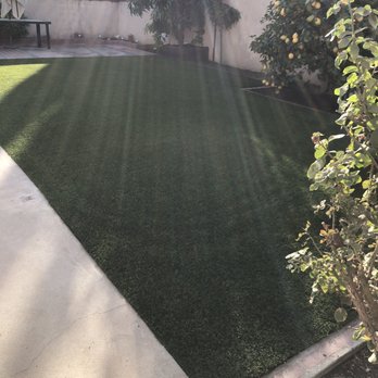 Tough Turf - Early morning appreciation of the new turf install - Artificial Turf Near Me - Artesia, California Tough Turf - Early morning appreciation of the new turf install - Artificial Turf Near Me - Artesia, California