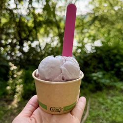 Sandy’s Scoops - Honey lavender ice cream in a small cup (watermelon sorbet underneath)