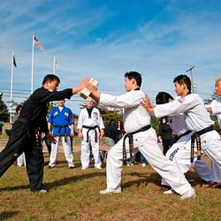US Black Belt