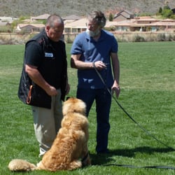 Community Canine - Utah Dog Training