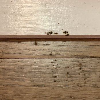 Chili's - Mold in the booth - Bars Near Me - Houston, Texas Chili's - Mold in the booth - Bars Near Me - Houston, Texas