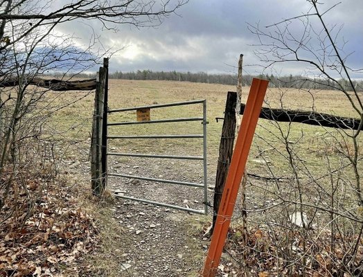 Finger Lakes National Forest by null