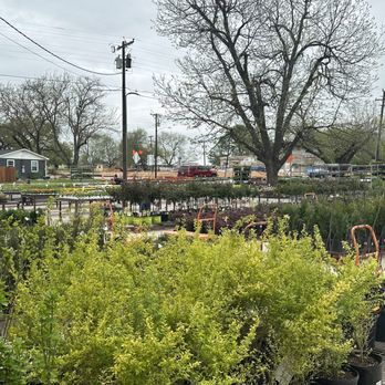 Springtown Garden Center - Nurseries & Gardening Near Me - Springtown, Texas Springtown Garden Center - Nurseries & Gardening Near Me - Springtown, Texas