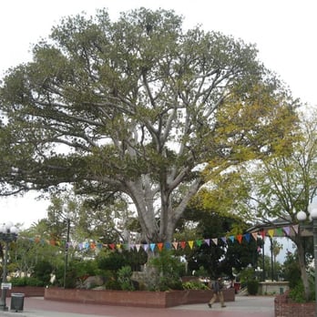 Olvera Street - View of the main square - Local Flavor Near Me - Los Angeles, California