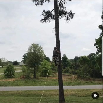 Mecho Tree Service - Tree Services Near Me Mecho Tree Service - Tree Services Near Me