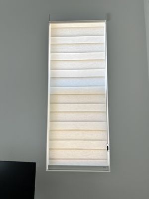 ElCielo Shades by null