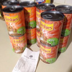Kitty food