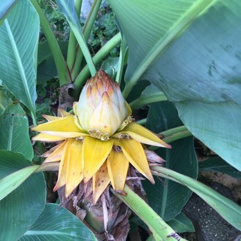 Gruson Gewächshäuser - Botanical Gardens Near Me - Magdeburg, ST